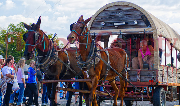 _1385951 wagon