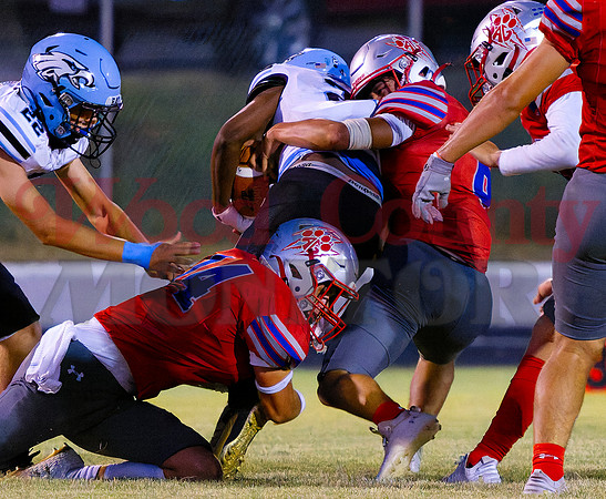 _9270389 pouncing panthers