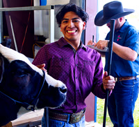 Wood County Livestock Show, sale of champions - March 29, 2024