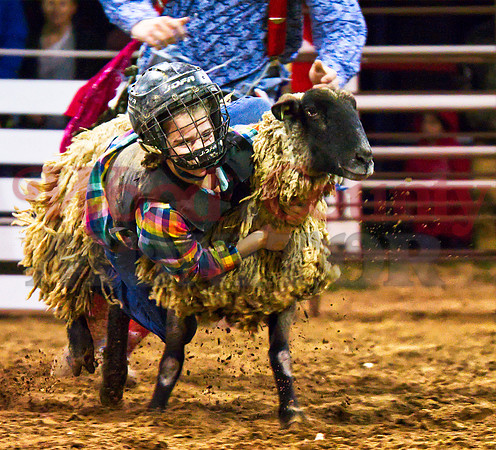 _1127094 rainbow plaid mutton buster