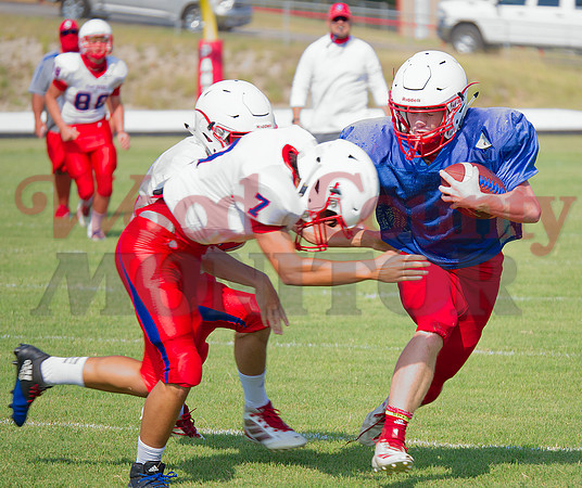 _1063724 stiffarm