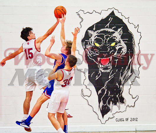 _1176295 panther block