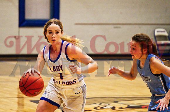 _1176596 Lindsey Hornaday 1 dribbles