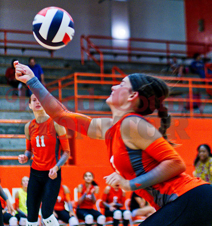 _1225332 Mahayla McMahon bumps