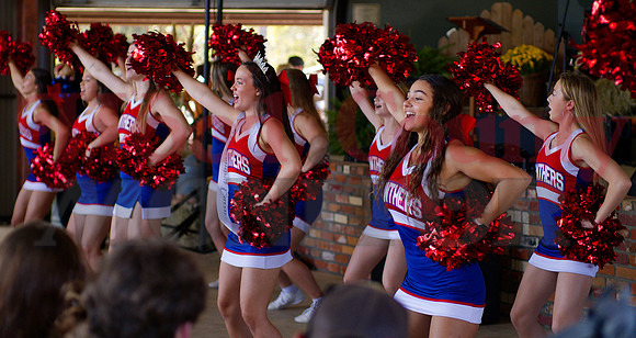 _1385975 panther cheer