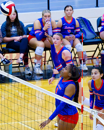 _9270245 Allie Berry hits