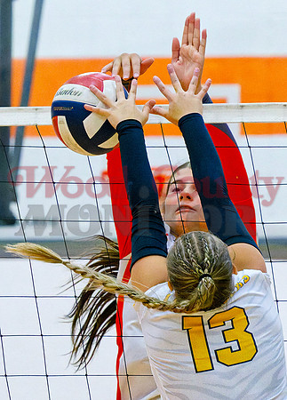 _A290506 Mahayla McMahon net