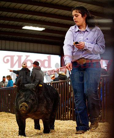 _1248785 Ashley Pollard shows pig