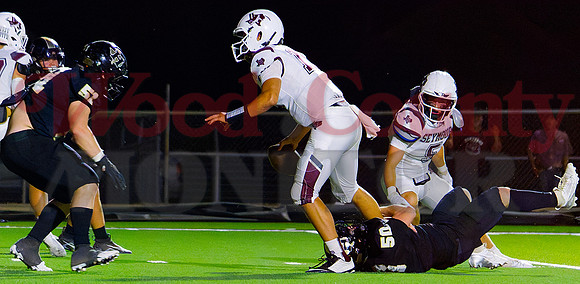 _1321912 sack