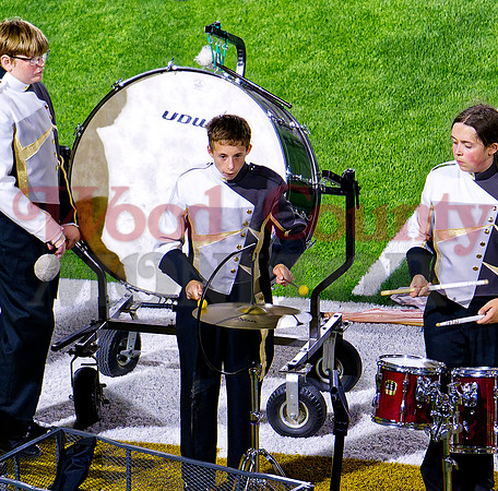 _1321964 avis cymbal roll