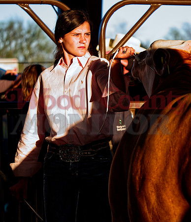_1259076 Bailee Bishop-Wright sr showmanship steer