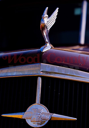 _1386027 ornament