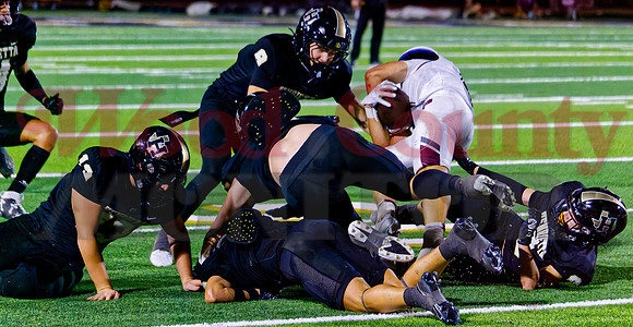_1321884 bearcats swarm