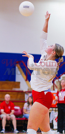 _1310998 Alexis Wilmut hits