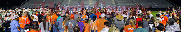 _1386714 swarm of support