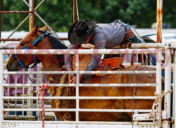 _7136495 saddle up
