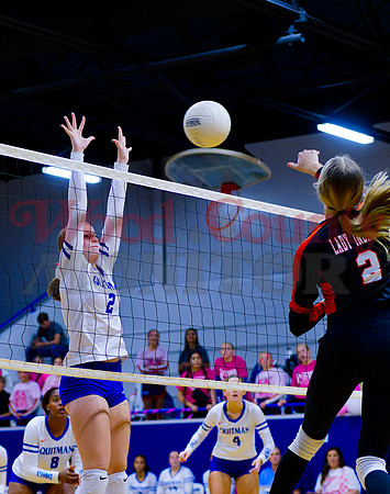 _1343336 Kinsey Hipp blocks