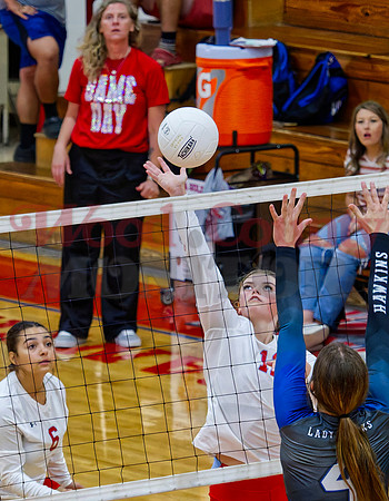 _9170452 Alexis Wilmut tips