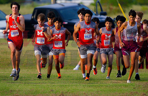 _9142348 mineola starts