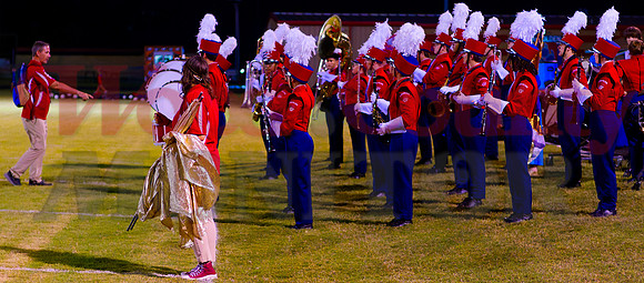 _1332252 AG band