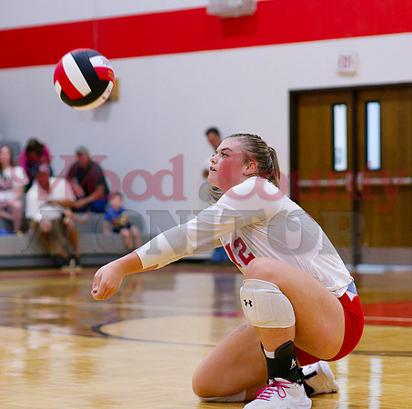 _1354603 Alexis Wilmut digs