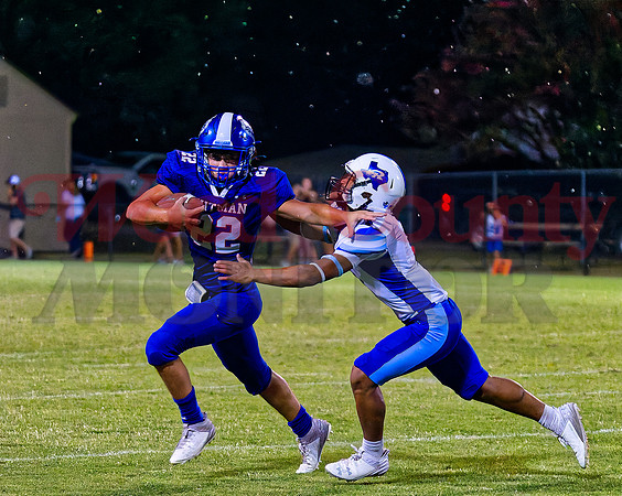 P_090877 stiffarm