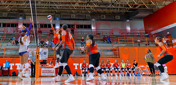 _1225345 Olivia Hughes tips