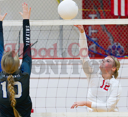 _9170335 Alexis Wilmut hits