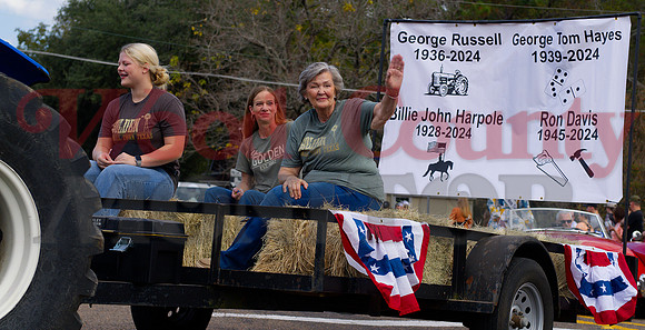 _1385830 Rosa Davis waves