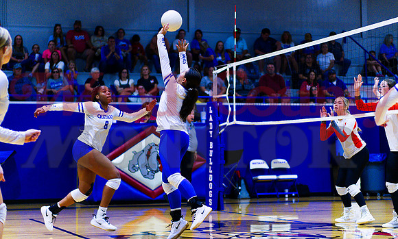 _1290140 Kaylin Sapp sets for Allie Berry