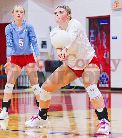 _1310595 Alexis Wilmut bumps