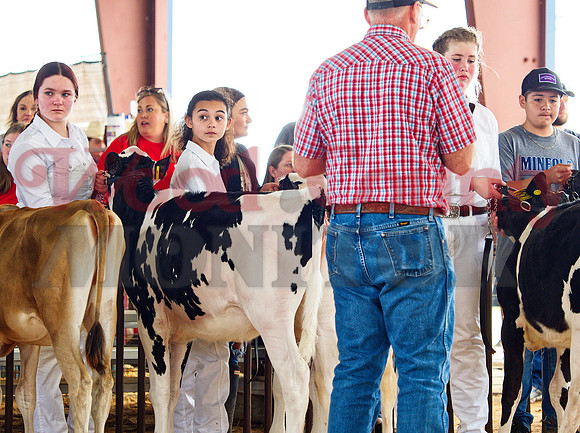 _1113706 dairy show