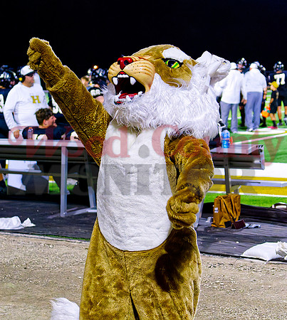_1321888 go bearcats
