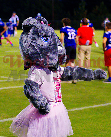 _1343630 pink bulldog