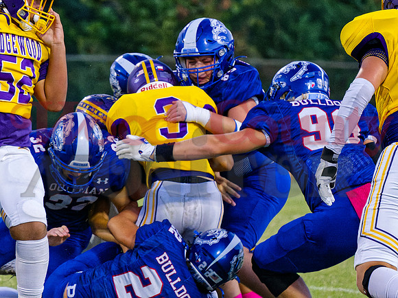 _A040494 dogpile