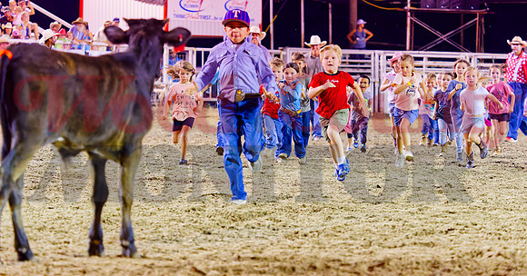 _7125839 stampede