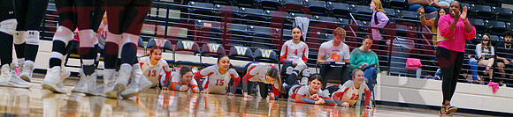_1375270 bench celebrates