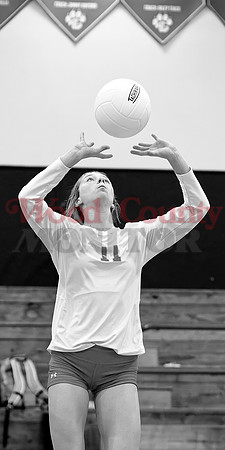 _1310704 Averi Stevenson sets
