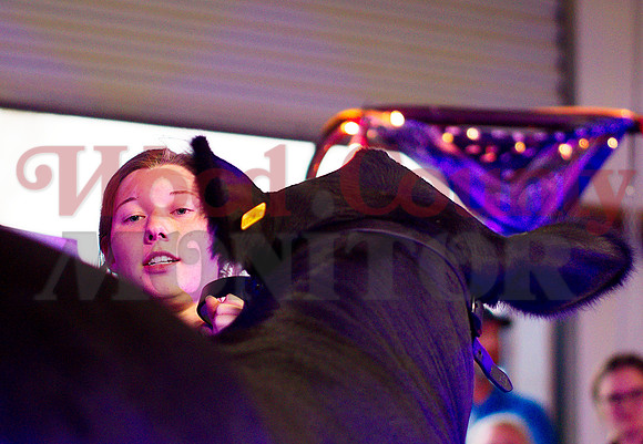 _1114732 Lacy Williams sells heifer