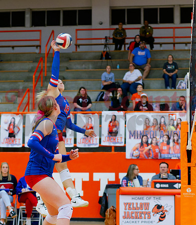 _1354355 Annabelle Popek hits