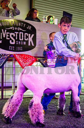 _1114495 Luke Wernecke sells grand champ lamb for 1500