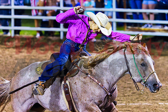 _7125931 whip