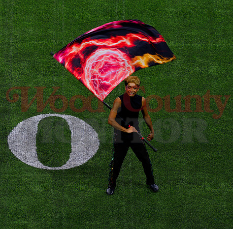 _B062450 henry flag