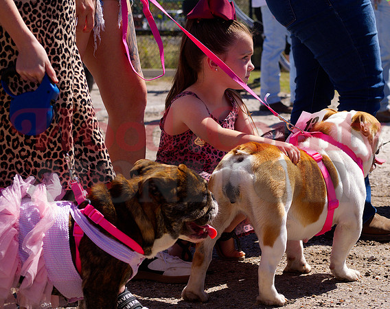 _1332573 girl dog