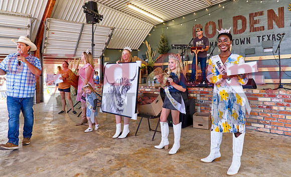 _A262106 auction