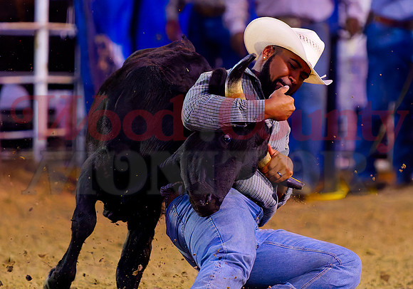 _7125812 wrestle