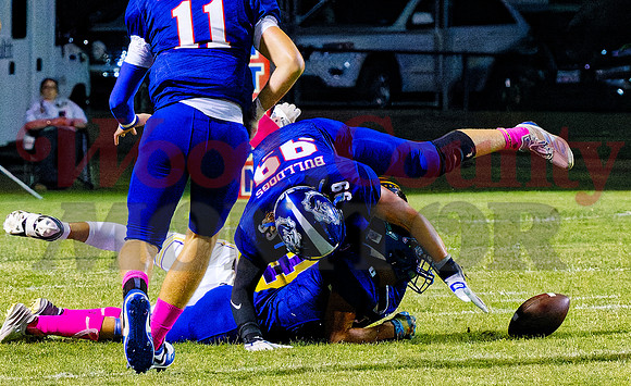 _A040631 bulldogs recover