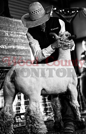 _1114640 Hunter Wernecke sells lamb