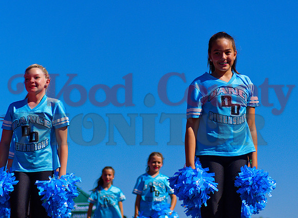 _1332888 express poms
