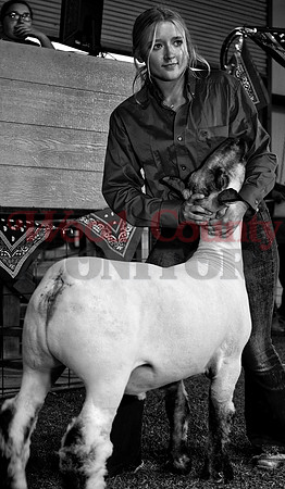 _1124643 Sarah Smith sells goat